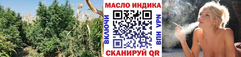 дарнет шоп  Камызяк  ТГК Wax 